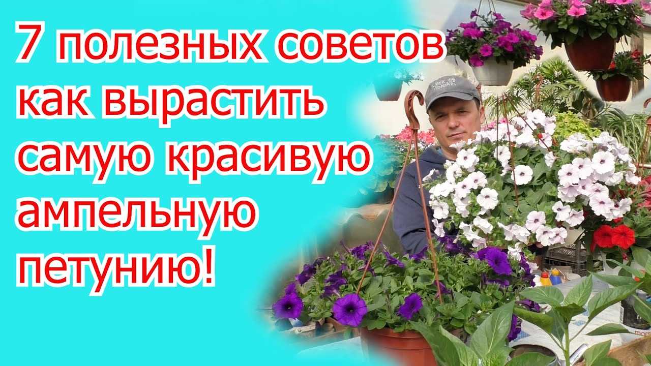 1. Висячие горшки и кашпо