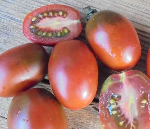 Популярнейшие 7 сортов томатов для теплицы