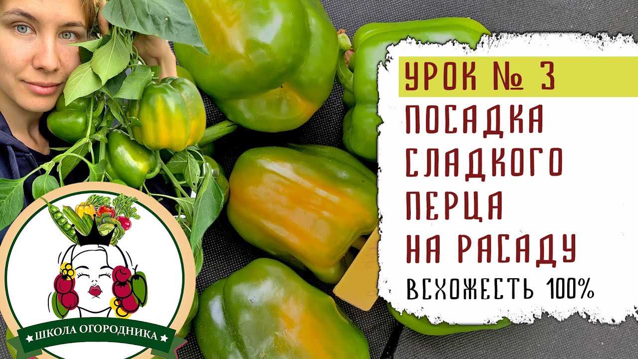 3. Применение органических удобрений