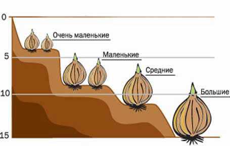 4. Профилактика