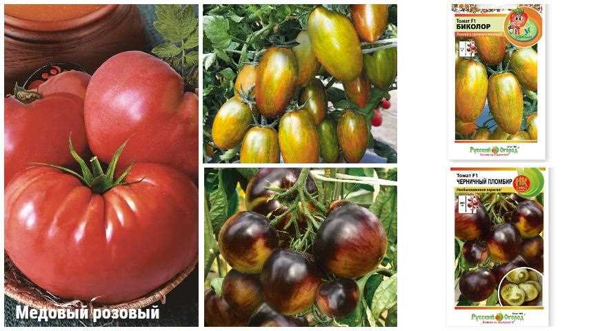 Как выбрать сорт томата для посева