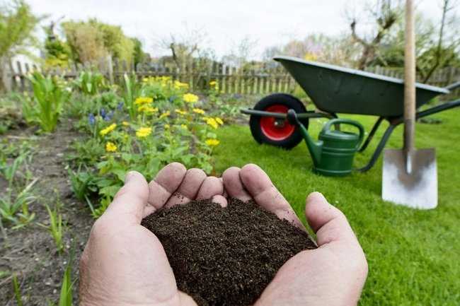 Повышаем плодородие почвы – как удобрить грунт без перекопки?