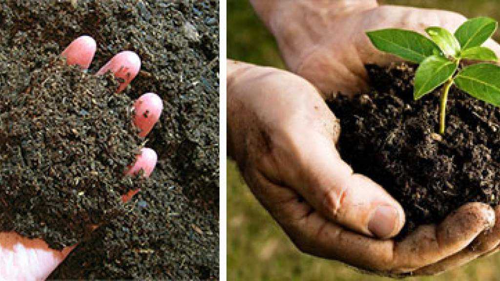 Удобрение почвы под конкретные культуры: особенности и рекомендации