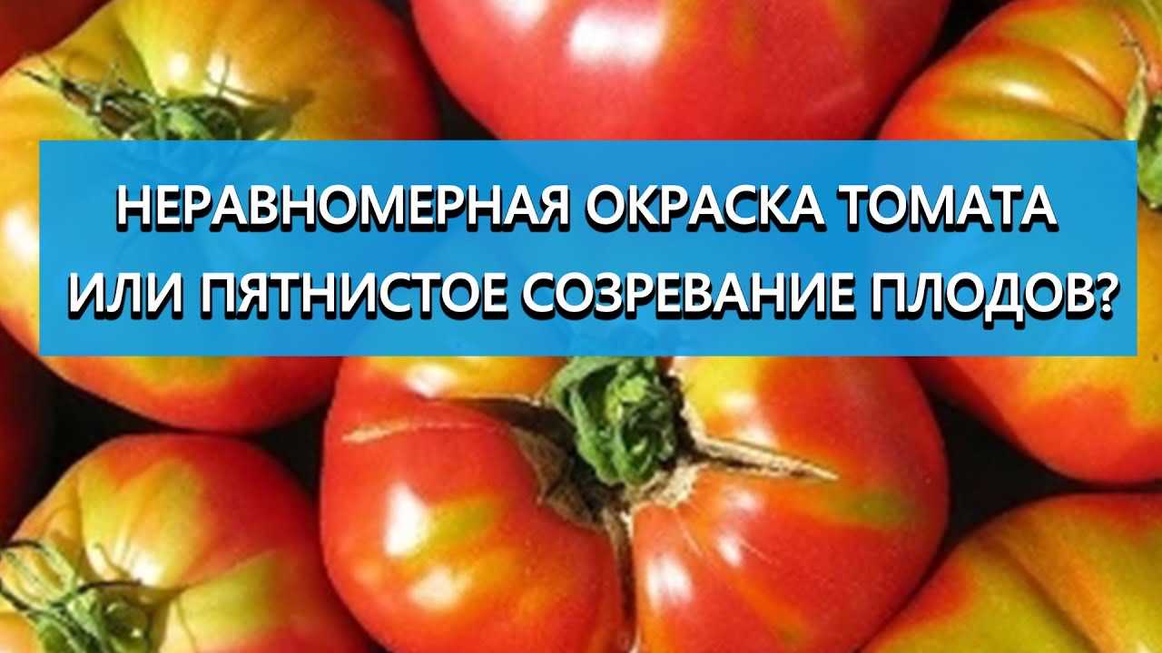 1. Правильное хранение