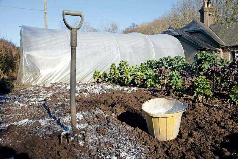 Известкование почвы как способ повышения урожайности