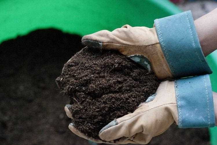 Пропаривание почвы перед посевом: польза или вред? Разбираем мифы об обработке грунта