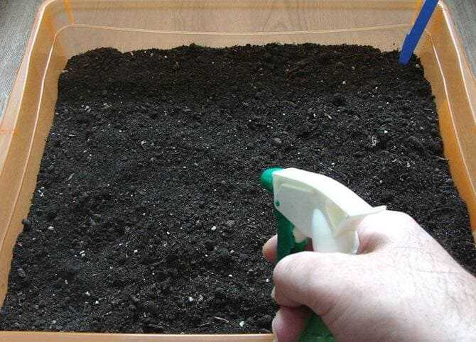 Польза пропаривания почвы