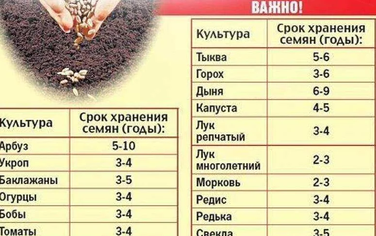 Оптимальные условия для проращивания