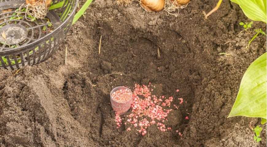 Повышение содержания полезных микроэлементов в почве