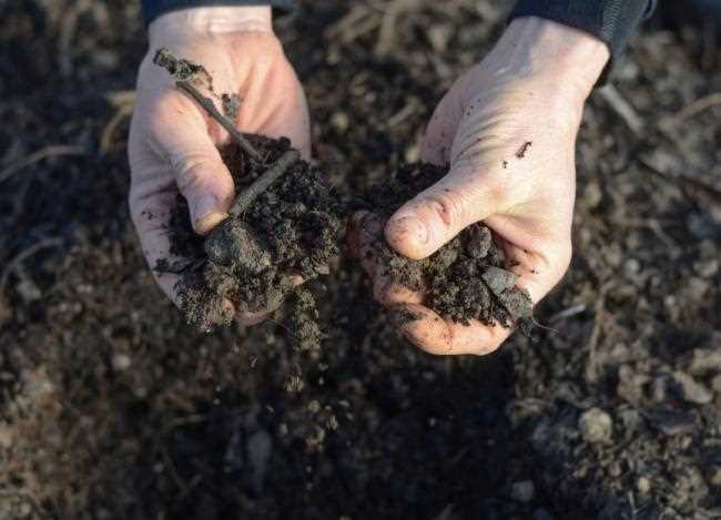 Преимущества зимних осадков перед другими способами восстановления почвы