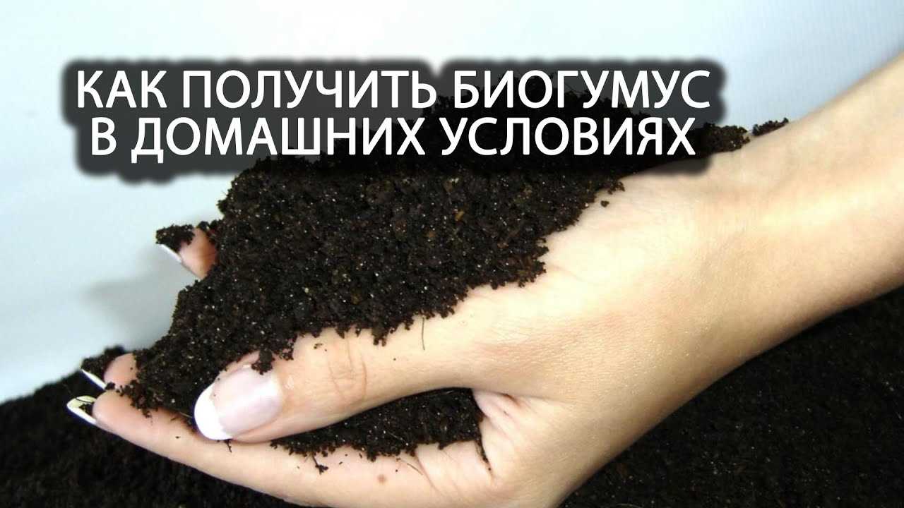 Улучшение почвы и растений после внесения червячного компоста
