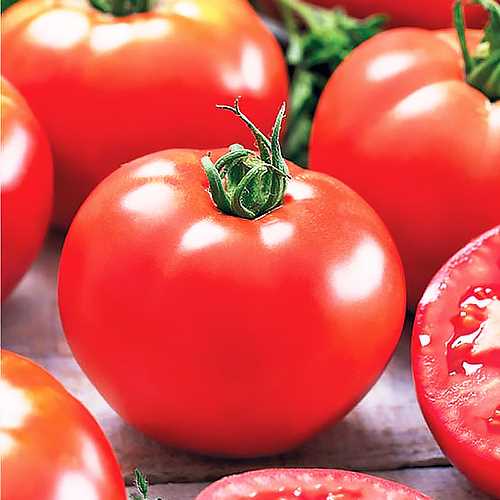 Для любых кулинарных целей найдется идеальный сорт томатов!