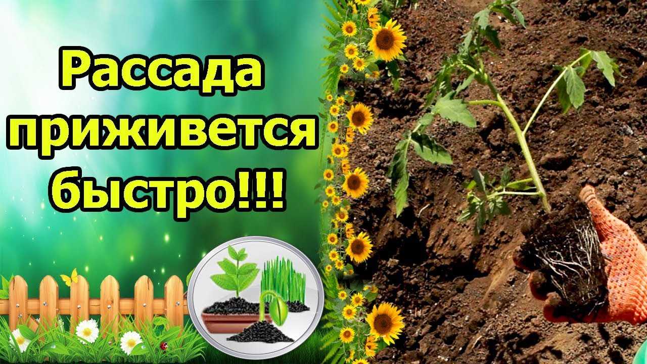 3. Добавление опор и поддержка