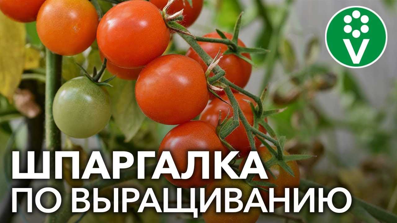 Правильная техника посева