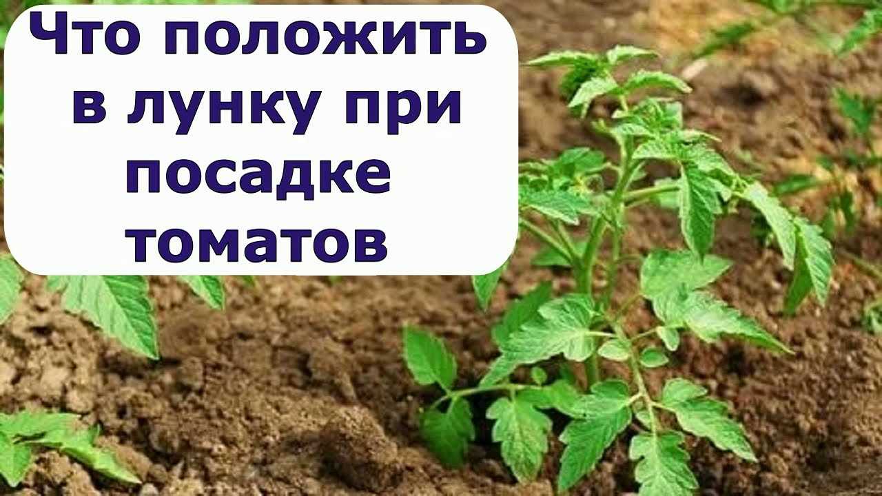 Подготовка грунта