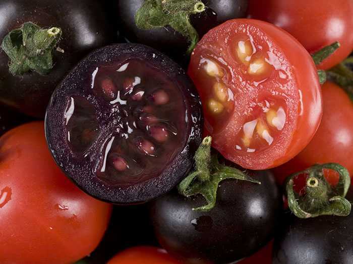 Черные помидоры на рынке: спрос и предложение