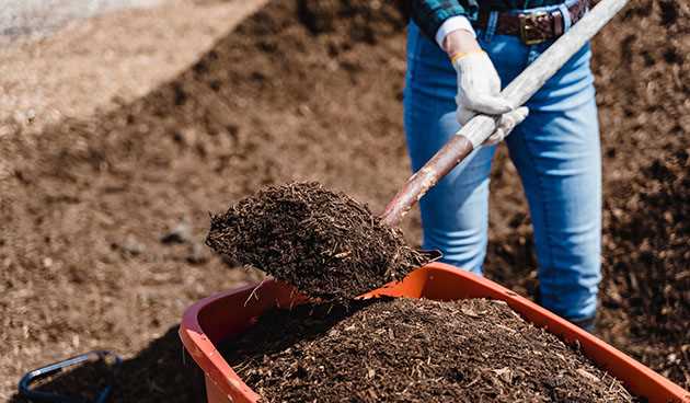 Методы восстановления плодородия почвы