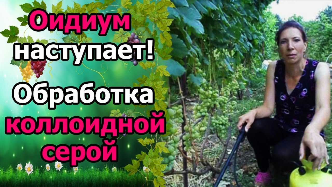 Уникальный метод защиты