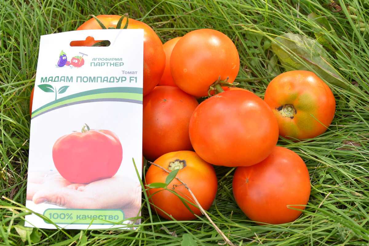 Детерминантные гибриды суперранних томатов: