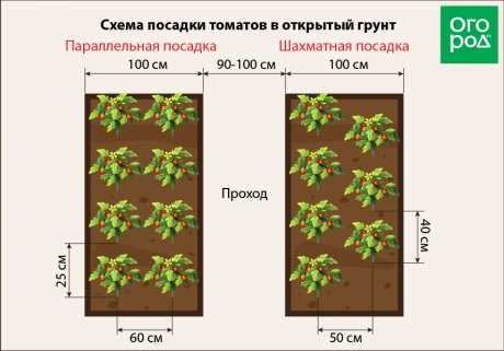 Основные преимущества схемы посадки и формировки томатов в 2 стебля