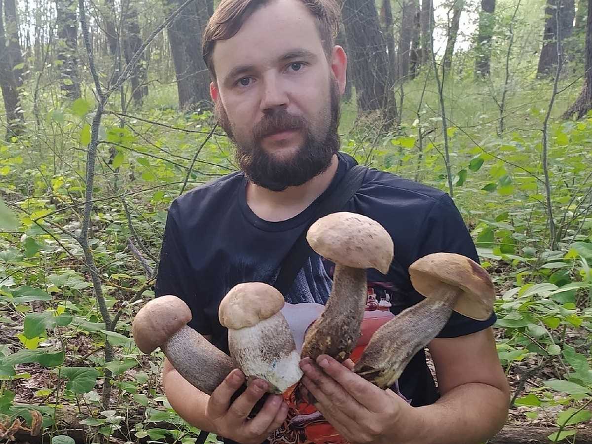 Как выбрать правильное снаряжение для грибной охоты