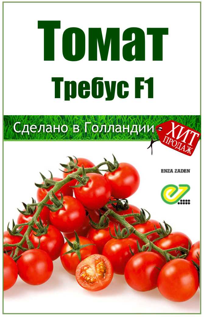 Черри-томаты в детском питании: полезно и вкусно!