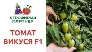 Подкормка черри-томатов: рекомендации профессионалов