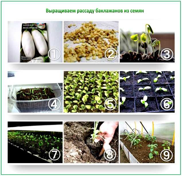 Определение оптимального времени для посадки