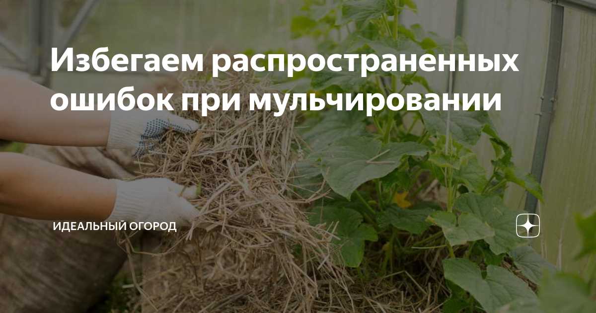 Неучет особенностей растений при мульчировании