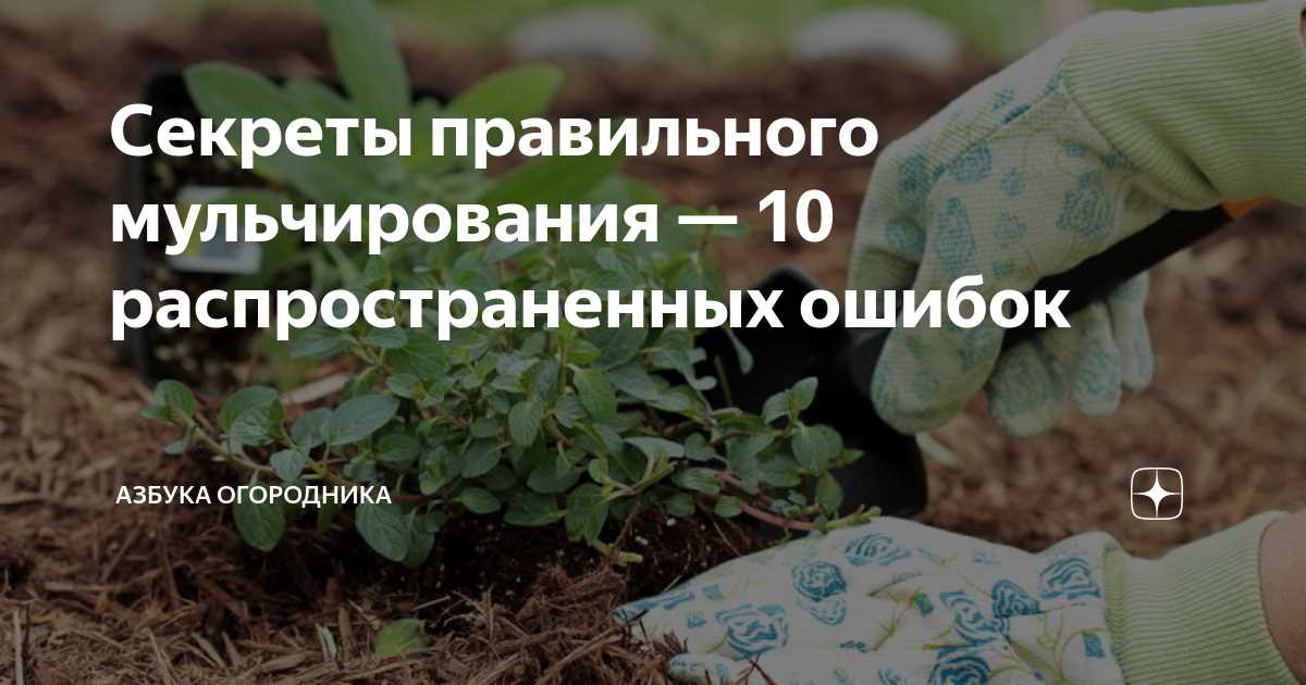 3. Использование неподходящей мульчи