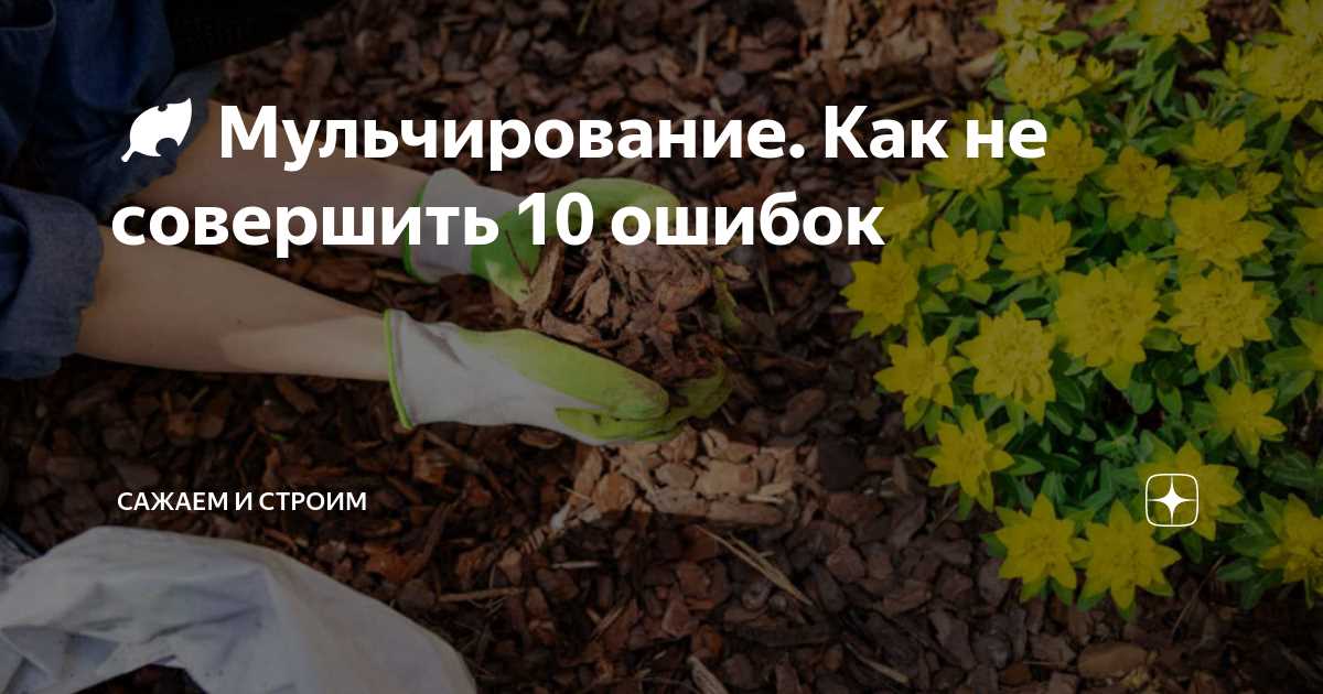 4. Использование загрязненной мульчи