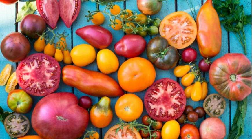 top 9 sortov tomatov dlya soka i salatov dlya tepli r7s0c5ns