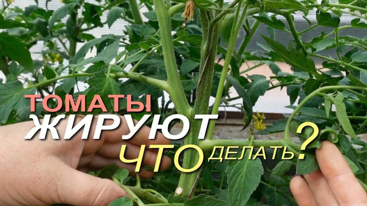 Контролируйте влажность почвы