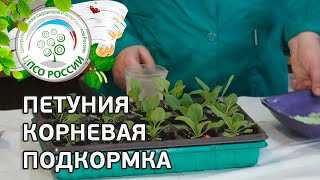 Основные критерии выбора удобрения