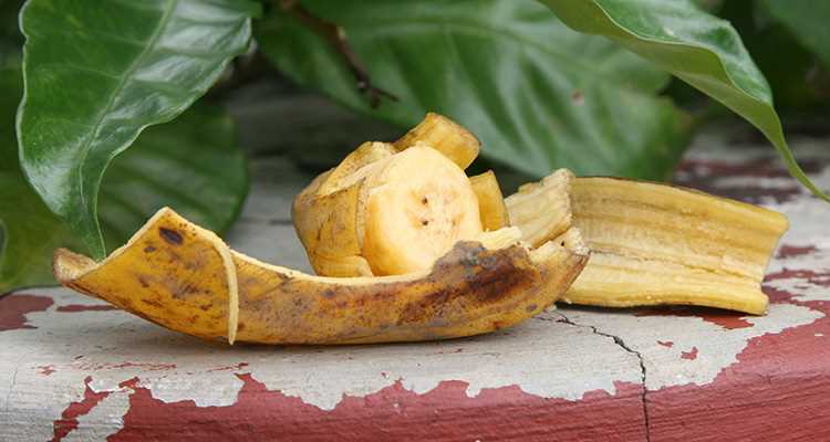 Отзывы о банановом удобрении от опытных садоводов