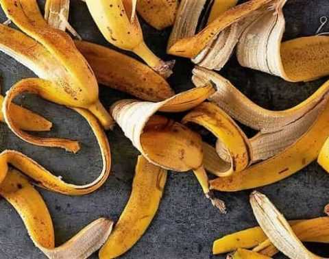 Влияние бананового удобрения на плодородие почвы