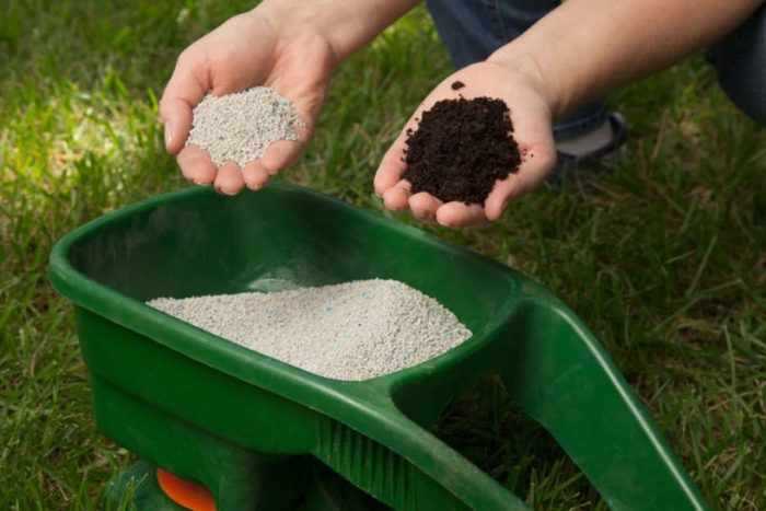 Выбор удобрений для конкретного типа почвы