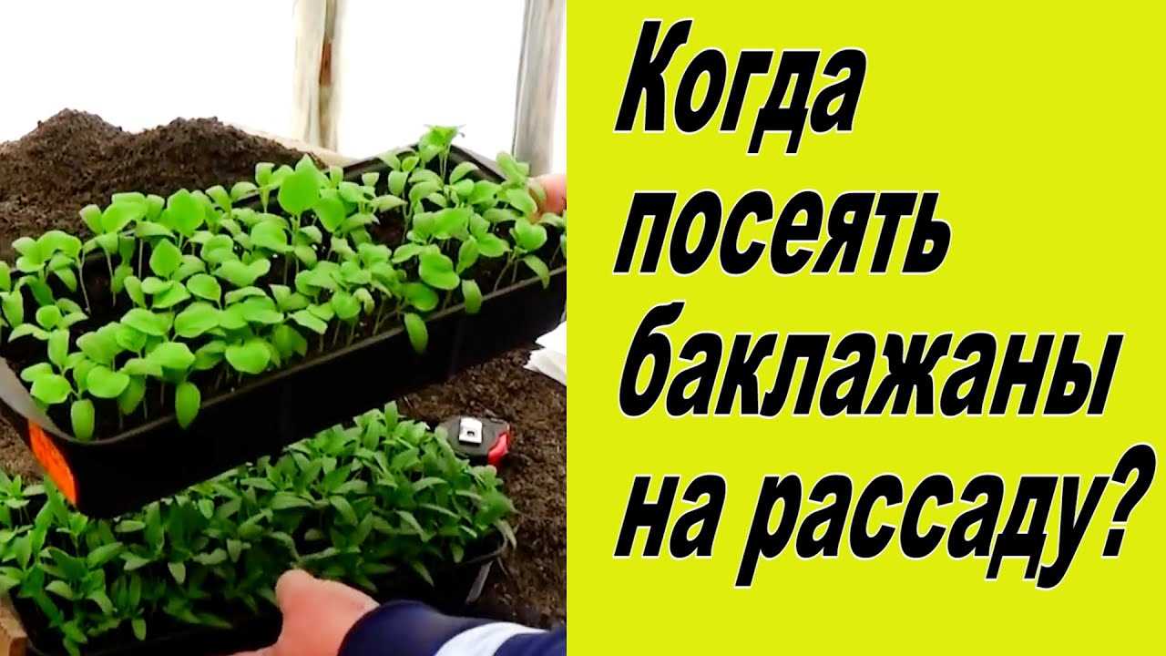 Экологическая чистота