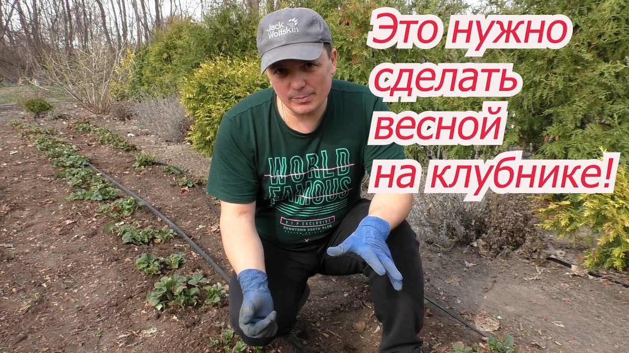 Размножение через розетки