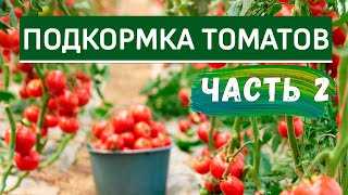 Роль калия в развитии томатных растений