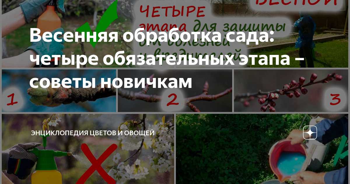 Обрезка деревьев и кустарников