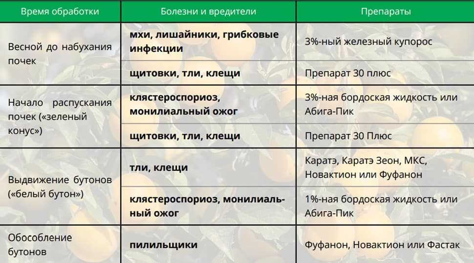 3. Обработайте инструмент антисептиком