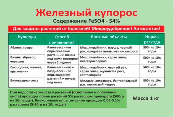 Предварительные меры безопасности