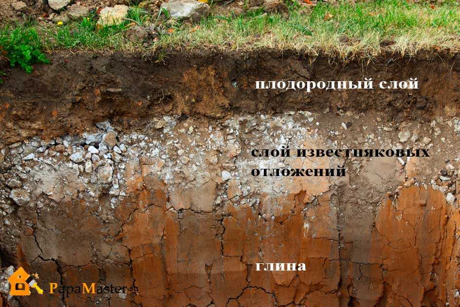 Глинистая почва