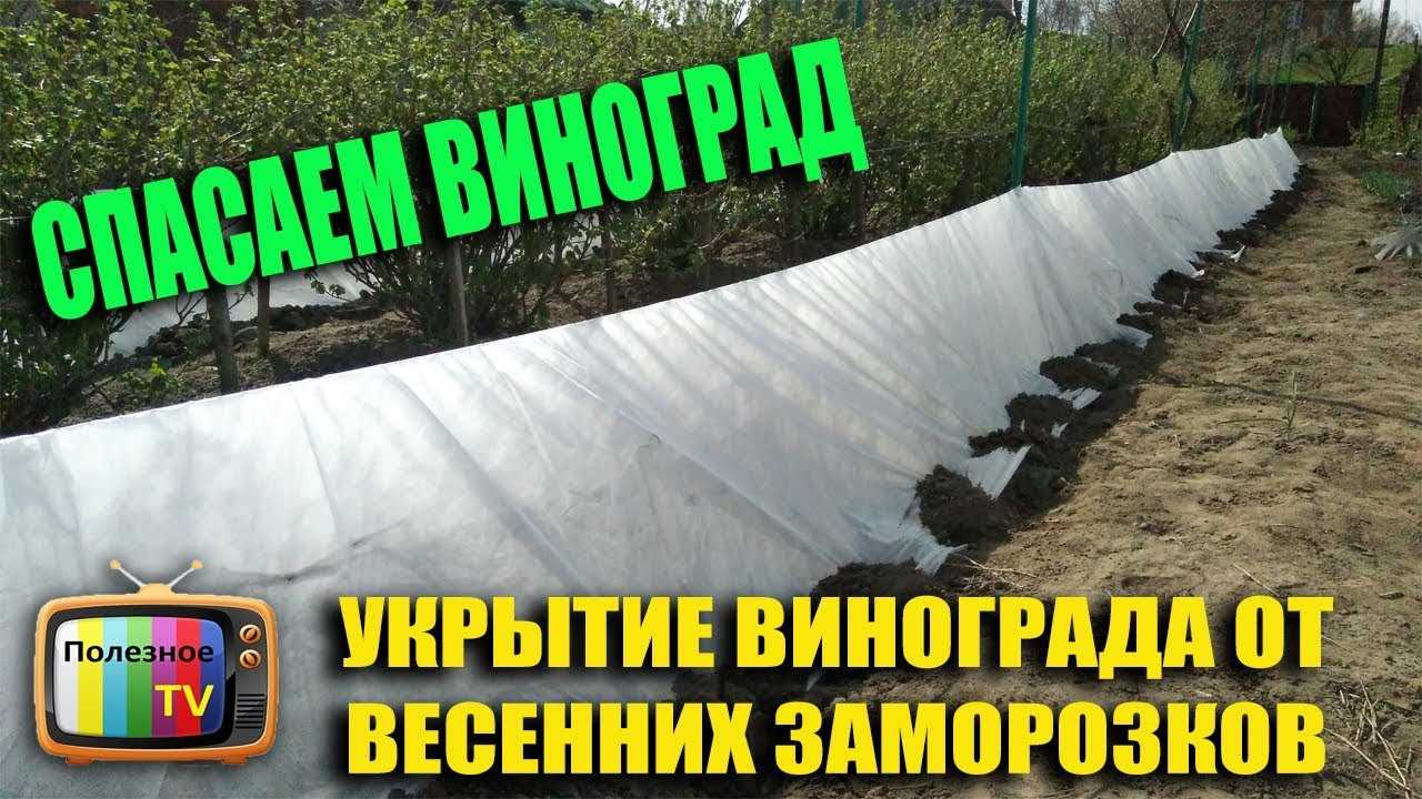 Минусы: