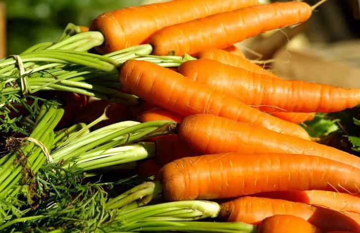 Заголовок 5: Посев и уход за морковью