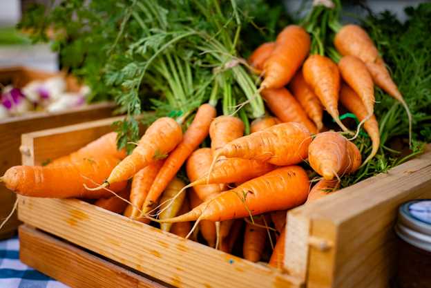 Заголовок 3: Оптимальное время посева моркови