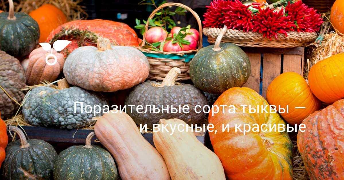 Для Хэллоуина и гастрономических удовольствий